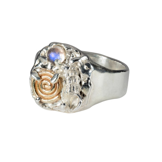 14kt Gold Spiral, Shell & Opal