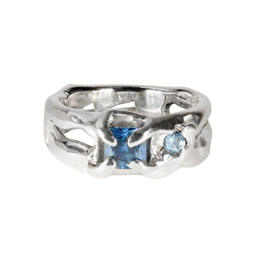 Flux Ring (Blue)