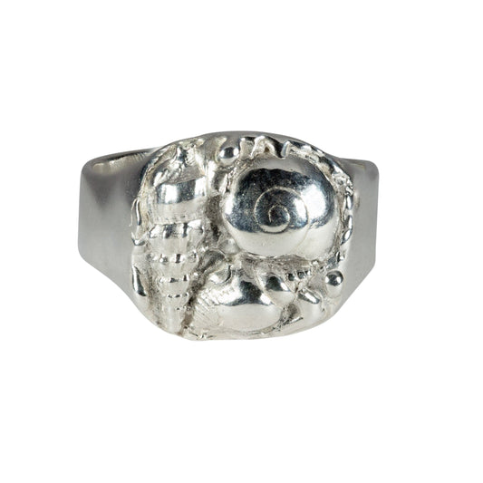 Silver shell ring with a textured design on a white background