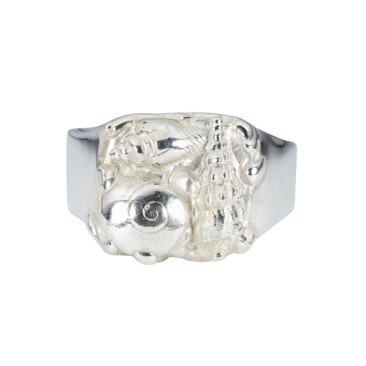 Silver Shell Ring